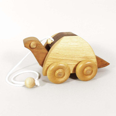 Turtle Pull Toy
