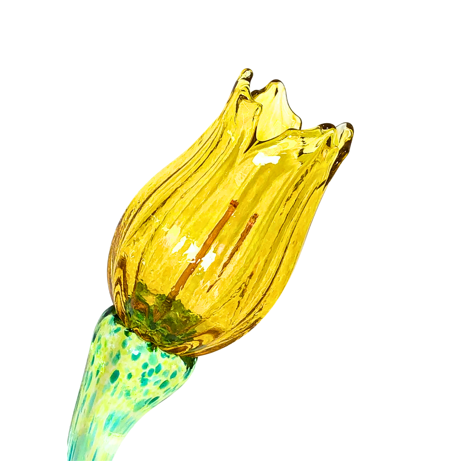 Gold Glass Tulip