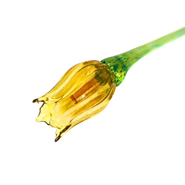 Gold Glass Tulip