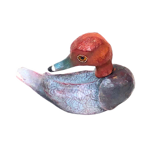 Red Head Duck