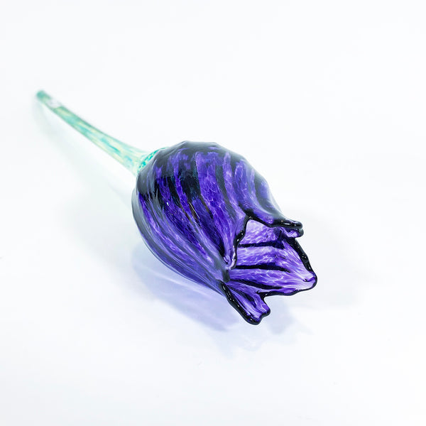 Purple Glass Tulip