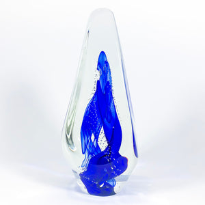 Transparent Tetra Blue